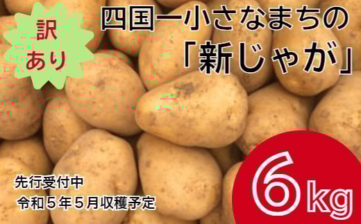 【四国一小さなまち】 ★先行受付：2023年5月発送開始★　大野台地で採れた 令和５年産『 新じゃが 』 ６ｋｇ　訳アリ品 