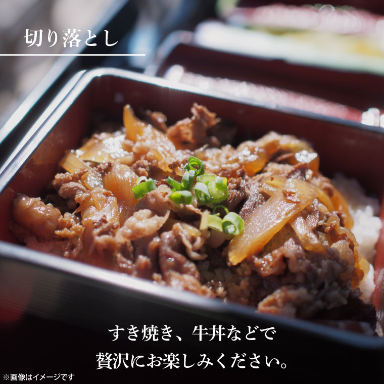 12回定期便】最高級A4.A5ランク 常陸牛贅沢セット【人気肉 お肉