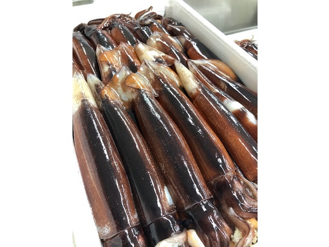 塩辛 昭和の塩辛 80g×4袋 真イカの肝醤油造り 80g×4袋 珍味 詰め合わせ エコパック セット （計8袋） いか イカ いか塩辛 おつまみ ご飯のお供 海鮮 魚介類 海産物 ※ご入金確認後 3ヶ月以内の発送になります。 青森県鰺ヶ沢町 