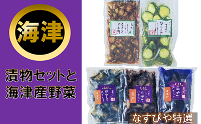 海津　なすびや特選漬物セットと海津産野菜 発酵食品 詰合せ 