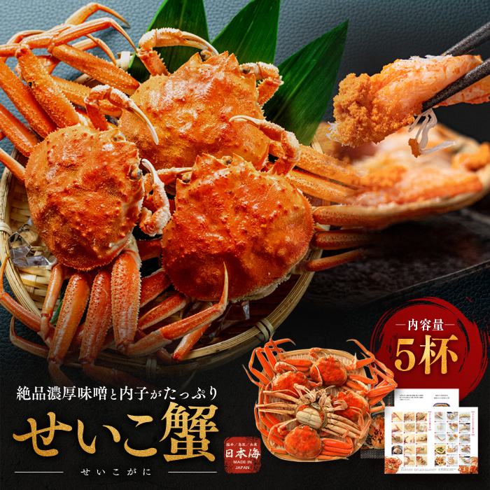 y䌧ዷz~̖o  X 5t 󏭂ȊI ZCRKj I  Jj I {CJj {CI |[V  CN   䌧 ዷ