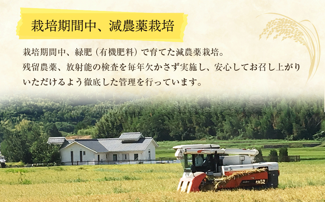 兵庫県淡路市のふるさと納税 野添農園のコシヒカリ 5kg「ひょうご安心ブランド」　[精米 白米]