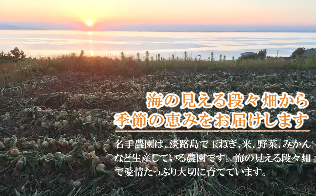 【定期便】名手農園の淡路島特産玉ねぎ10kgの12ヶ月コース　[たまねぎ 玉葱 ]