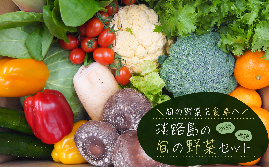 兵庫県淡路市のふるさと納税 淡路島の旬の野菜セット（10～15種類程度）　　[野菜詰め合わせ]
