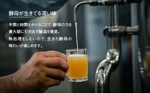 あわぢびーる６本セット《淡路島のクラフトビール》アルト・レッドエール・ヴァイツェン ビール 飲み比べ