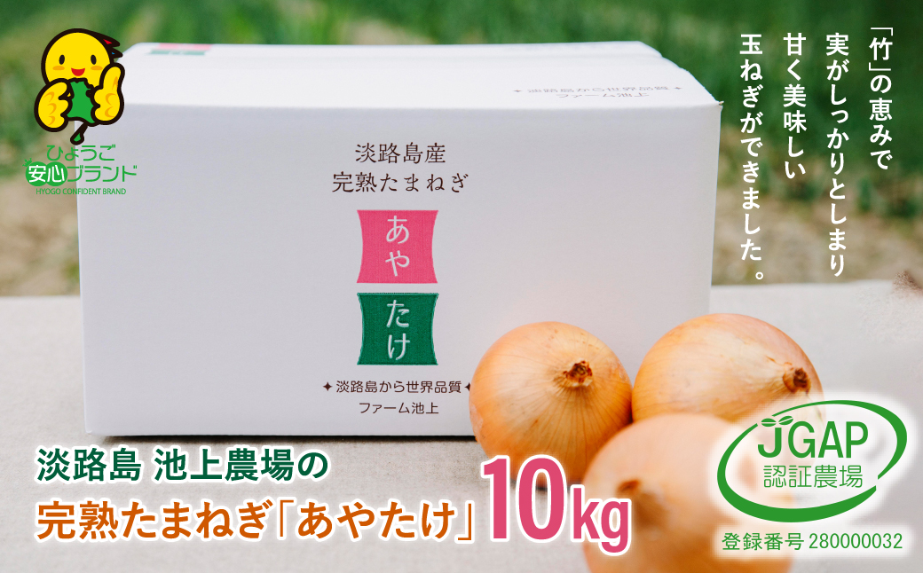 淡路島　池上農場の完熟たまねぎ「あやたけ」10kg　　[玉ねぎ 玉葱 ]