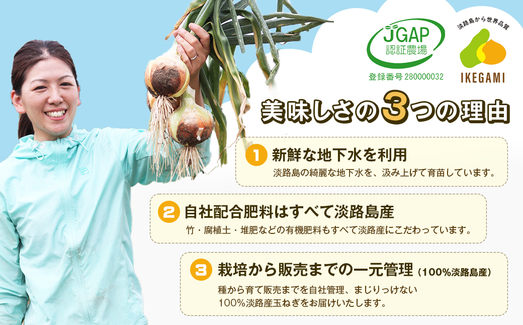 淡路島　池上農場の完熟たまねぎ「あやたけ」10kg　　[玉ねぎ 玉葱 ]