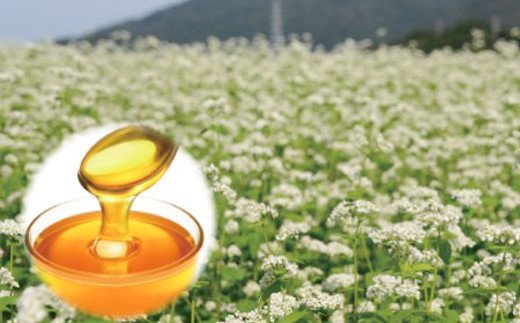 島のはちみつ 180ｇ×2本 国産 純粋はちみつ 非加熱