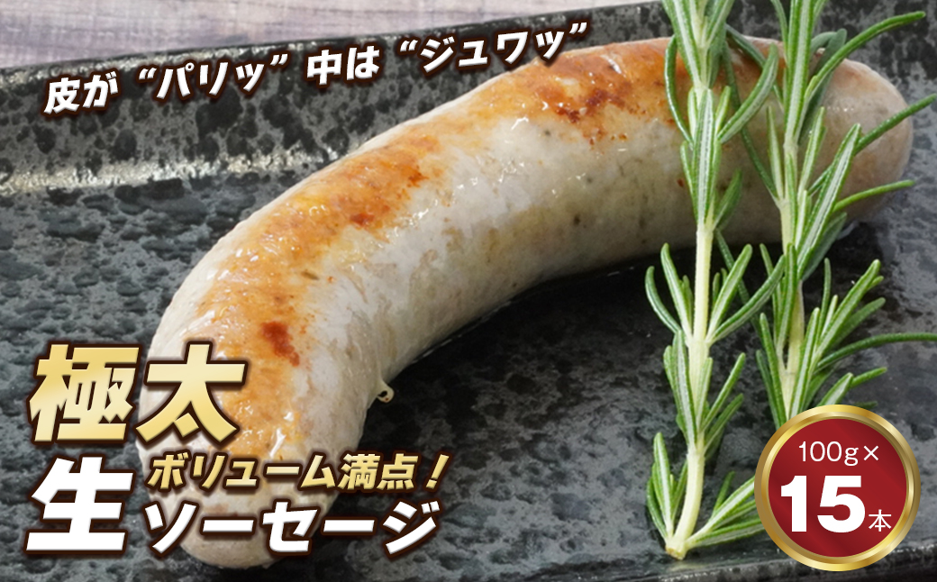 yɌWHsz|[N\[Z[W@100g×15{@[ⓀHi ؓ ]