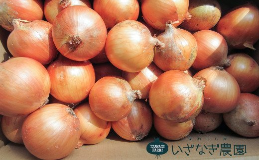 いざなぎ農園の淡路島たまねぎ10kg　　[玉ねぎ 玉葱]