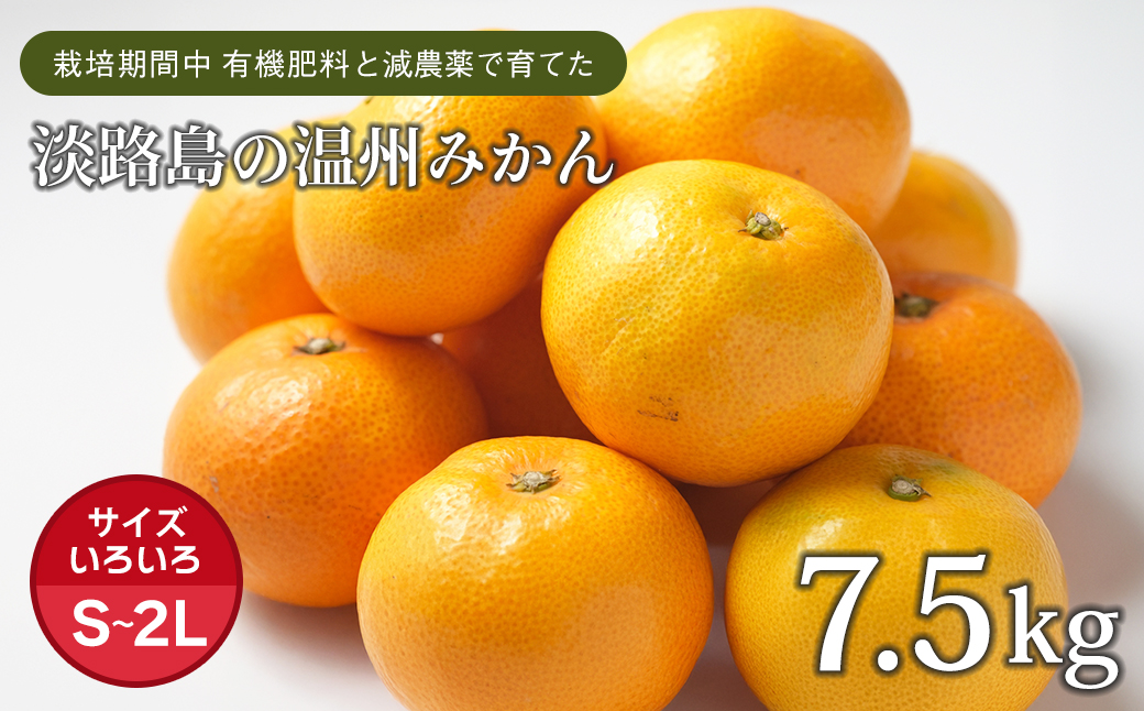 【兵庫県淡路市】片山農園の淡路島みかん(温州みかん)7.5kg【サイズいろいろS〜2Lサイズ】