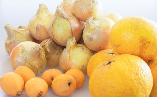 【新たまねぎ】淡路島産たまねぎ5kgと旬の果物少々セット【発送時期：2026年4～5月頃】