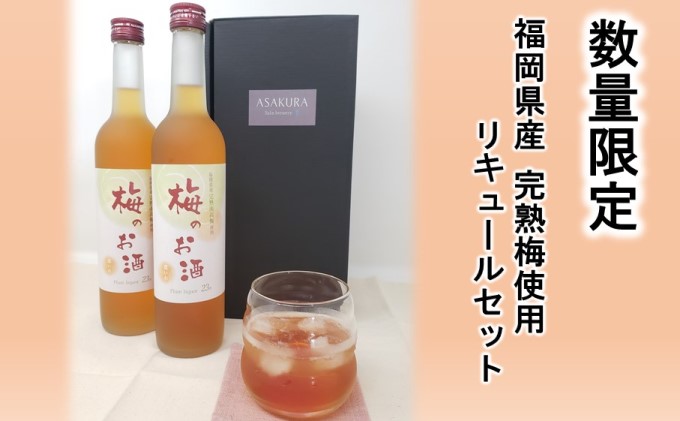 【福岡県朝倉市】【数量限定】梅のお酒 500ml×2本セット 洋酒 リキュール