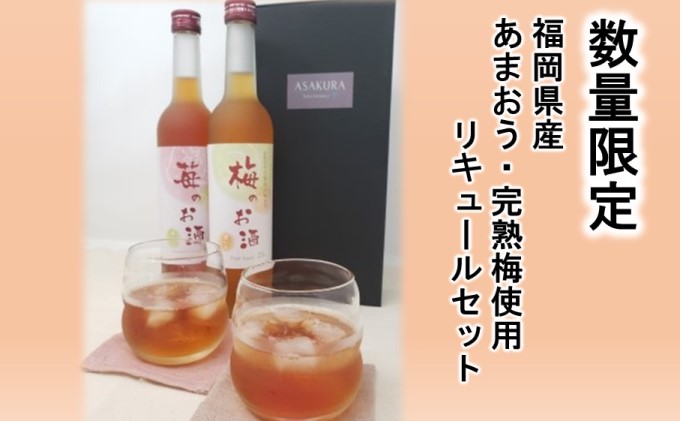 【福岡県朝倉市】【数量限定】濃いめのお酒 飲み比べ 500ml×2本セット(苺のお酒/梅のお酒) 洋酒 リキュール