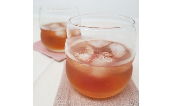 【数量限定】梅のお酒 500ml×2本セット 洋酒 リキュール 