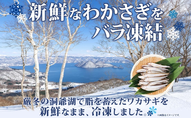 北海道洞爺湖町のふるさと納税 洞爺湖町産 黄金のわかさぎ 20尾×4P 計80尾 北海道産 ワカサギ わかさぎ 川魚 魚介類 産地直送 冷凍 お取り寄せ グルメ 料理 天ぷら フライ とうやマルシェ 北海道 洞爺湖町