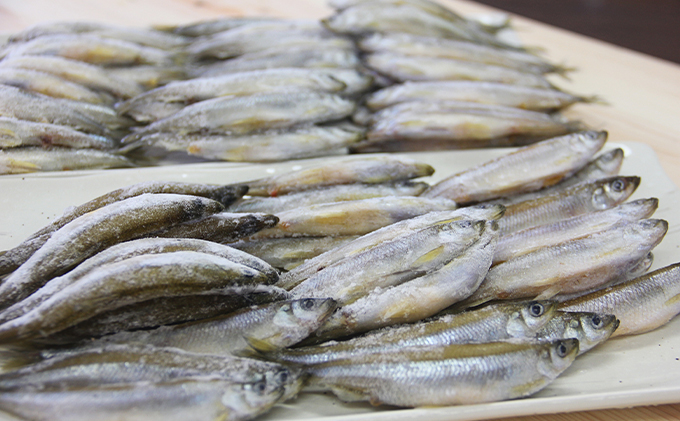 北海道洞爺湖町のふるさと納税 洞爺湖町産 黄金のわかさぎ 20尾×4P 計80尾 北海道産 ワカサギ わかさぎ 川魚 魚介類 産地直送 冷凍 お取り寄せ グルメ 料理 天ぷら フライ とうやマルシェ 北海道 洞爺湖町