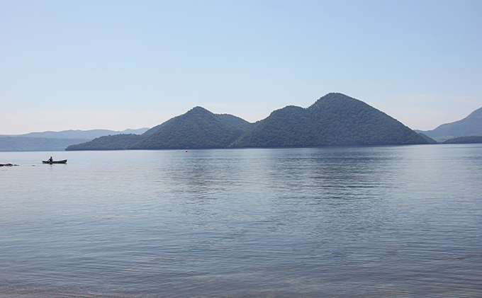 北海道洞爺湖町のふるさと納税 洞爺湖町産 黄金のわかさぎ 20尾×4P 計80尾 北海道産 ワカサギ わかさぎ 川魚 魚介類 産地直送 冷凍 お取り寄せ グルメ 料理 天ぷら フライ とうやマルシェ 北海道 洞爺湖町