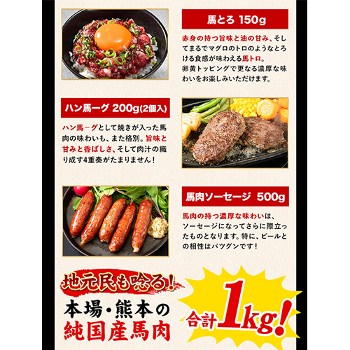 熊本県長洲町のふるさと納税 純国産馬刺し＆馬肉料理福袋 計1kg 熊本肥育 2年連続農林水産大臣賞受賞 送料無料 上赤身馬刺し100g たてがみ50g 馬とろ150g 馬ソーセージ500g 燻製 霜降り ハン馬ーグ200g(2個入り) タレ付き 熊本県長洲町《90日以内に出荷予定(土日祝除く)》