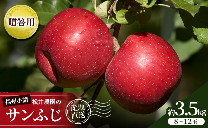 【長野県小諸市】信州小諸 松井農園のサンふじ 約3.5kg 果物類・林檎・りんご・リンゴ