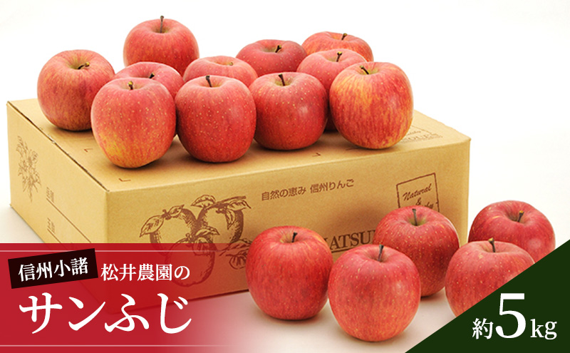 信州小諸　松井農園のサンふじ　約5kg 果物類・林檎・りんご・リンゴ