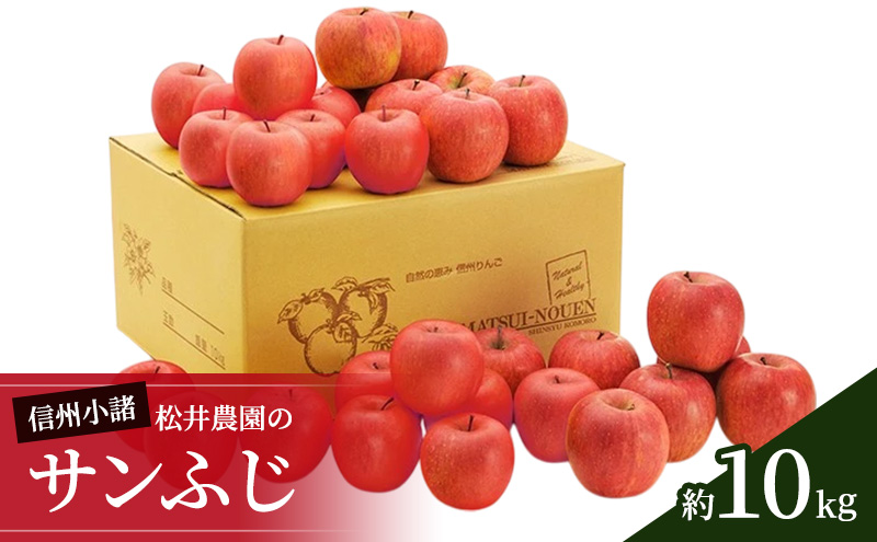 y쌧szMB@_̃Tӂ 10kg ʕ ь  S