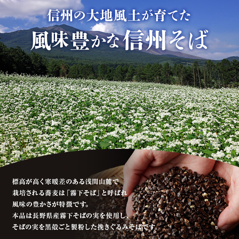 信州そば 半生麺 8人前 (そばつゆ付き) 長野 蕎麦 ソバ 半生 蕎麦 そば茶 こだわり 食材 お取り寄せ ご当地 グルメ 詰め合わせ 麺類 そば