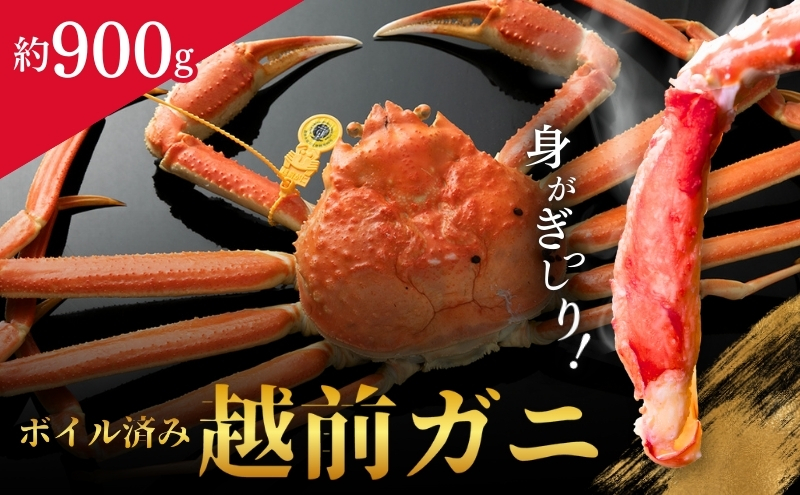 【福井県若狭町】越前ガニ ボイル 約900g 高島屋 選定品 ズワイガニ かに 海鮮 海産物 海の幸 魚介 魚介類 越前かに 越前カニ 越前がに ずわいがに ずわい蟹 カニ 蟹 ボイルガニ 冷蔵 冷蔵配送 福井県 福井 若狭町 若狭