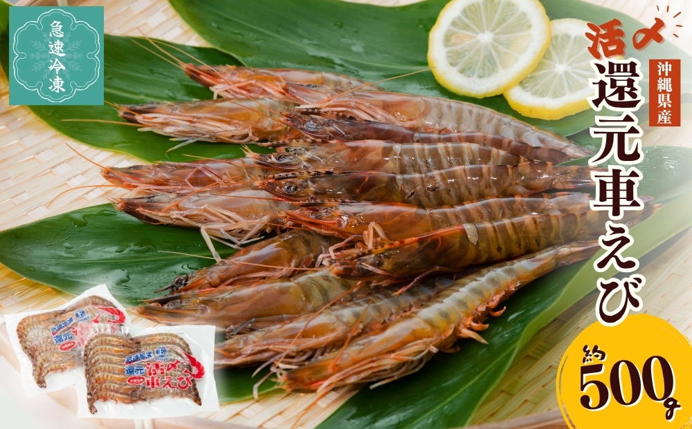 yꌧ܎szYҌԂсi}ⓀE500gjyGiWbNԊCV{Bz