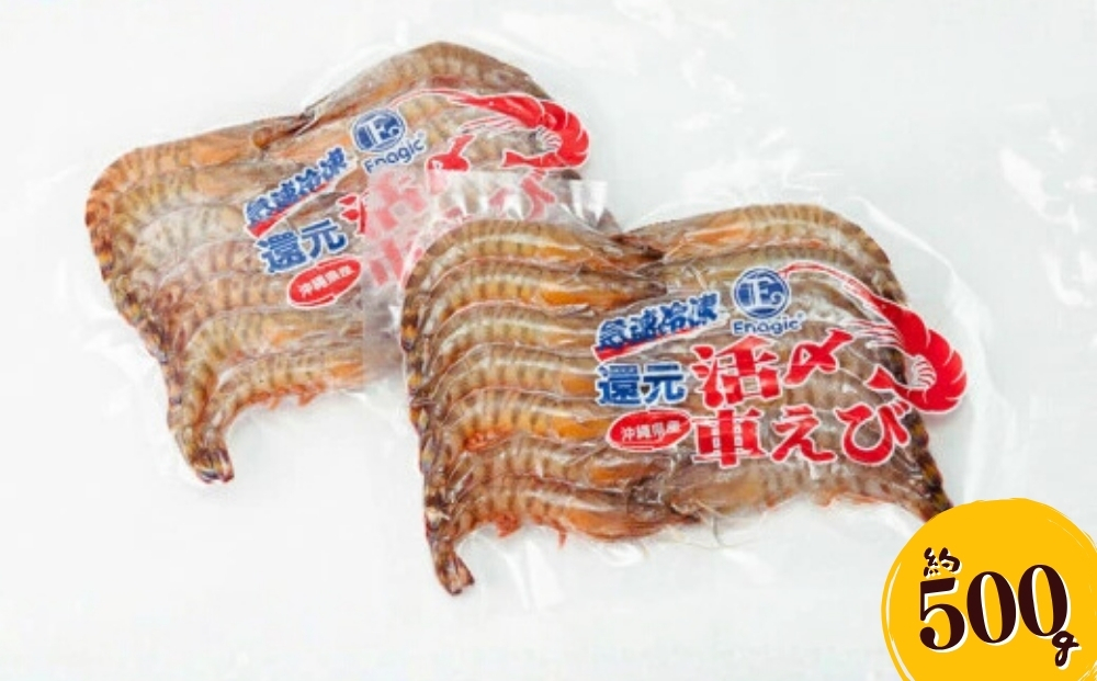 活〆還元車えび（急速冷凍・500g）【エナジック車海老養殖場】