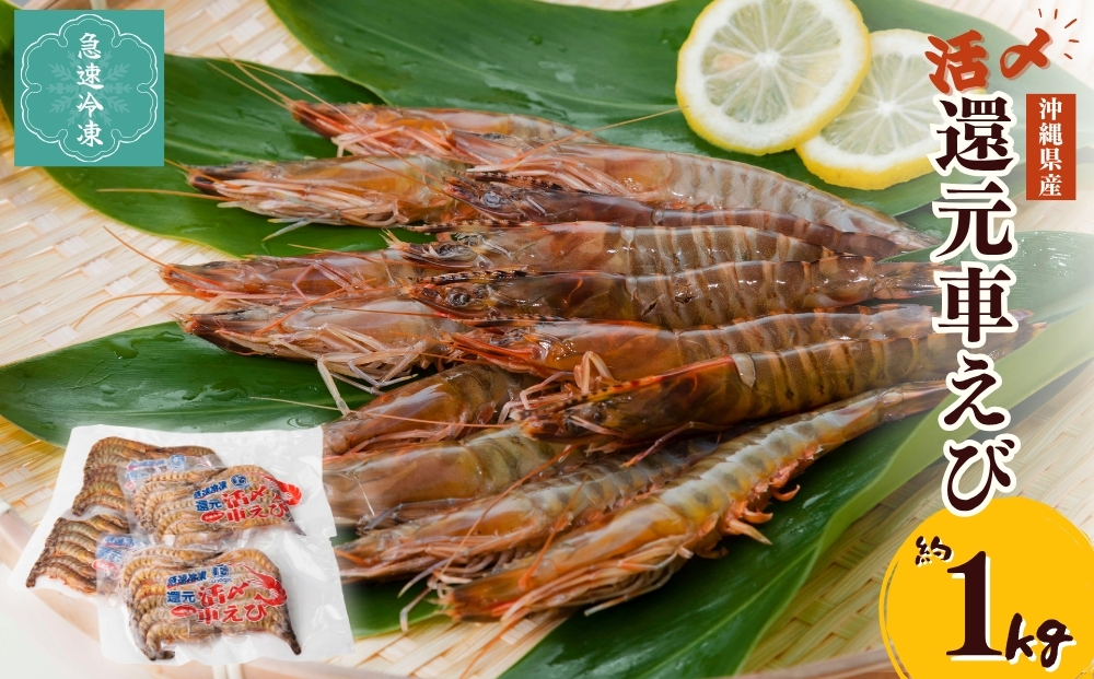 yꌧ܎szYҌԂсi}ⓀE1KgjyGiWbNԊCV{Bz