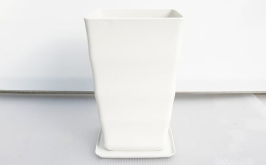 沖縄の観葉植物 人気のフィカス フランスゴム7号 角鉢