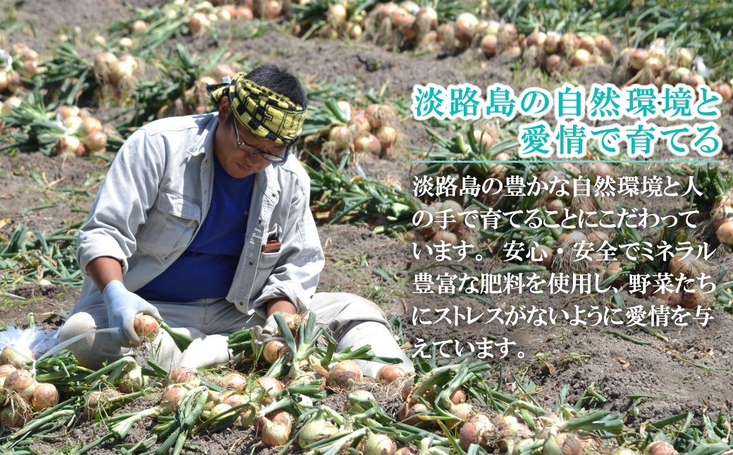 名手農園の淡路島特産季節の農園セット【淡路島産玉ねぎ5kgと季節のみかん3kg】