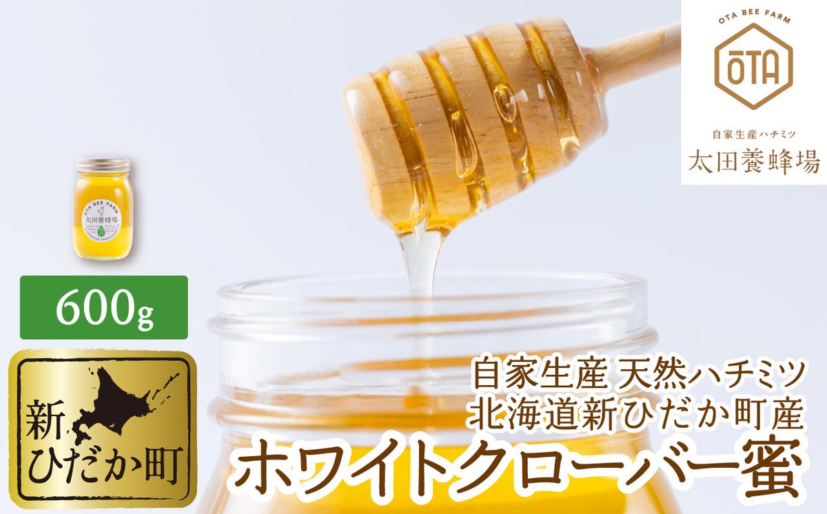 【北海道新ひだか町】北海道産 天然 はちみつ ホワイトクローバー蜜 600g