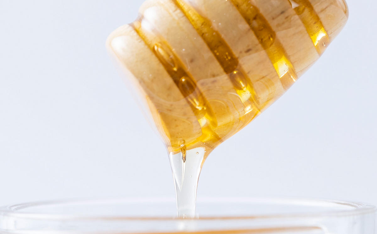 北海道産 天然 はちみつ アカシア蜜 12kg