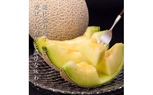 t062sks　《3ヶ月定期便》高知県産 高級マスクメロン（ご贈答・ギフト用）1玉入 【発送期間：4月～12月（9カ月）】【1月～3月は気候温度不安定の為出荷不可となります。】〈南国市共通返礼品〉