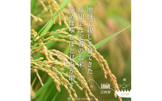 ヒノヒカリ　白米10kg（5kgｘ2）高知県　令和6年産　お米　精米発送 ヒノヒカリ 白米10kg（5kgx2）高知県 令和6年産 お米 精米発送