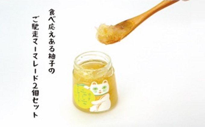 もち麦 キラリモチ 200g パック 3個 セット岡山 高梁市 宇治町産 米