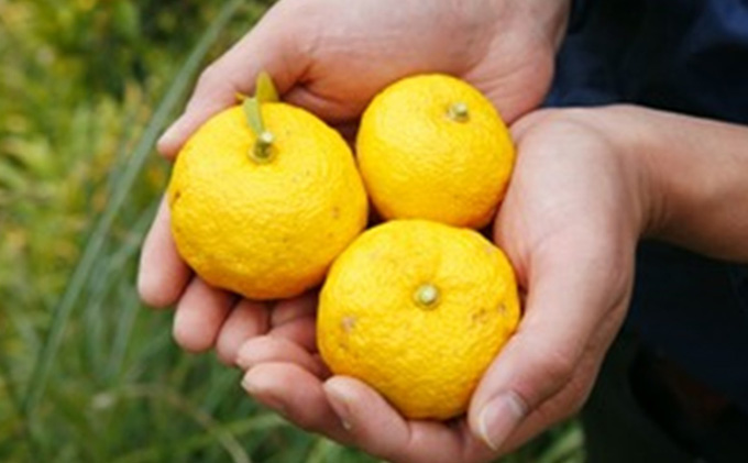 柚子の香り広がる赤柚子胡椒【吹屋の紅だるま2個セット】 調味料 万能調味料 