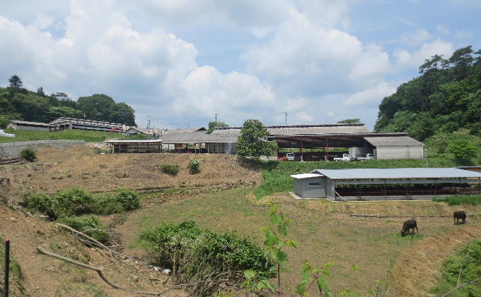 ［農林水産大臣賞受賞］備中牛 和牛しゃぶしゃぶ用スライス800g 牛肉 