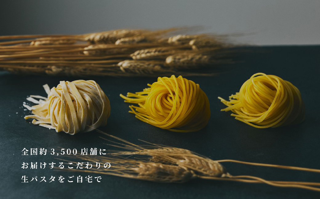 【淡路島生パスタ】淡路麺業の生パスタと特製ソース6食セット