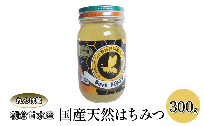はちみつ 国産 天然蜂蜜 れんげ 蜜 300g 朝倉市 甘水産 蜂蜜 