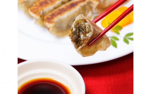 早摘みもずく（5袋）&もずく餃子（12個入×4袋）セット【勝連漁業協同組合】