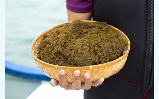 早摘みもずく（10袋）＆もずく餃子（12個入×10袋）セット【勝連漁業協同組合】