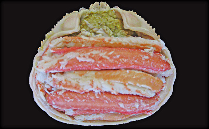 松葉蟹 ほぐし身（大） 活き蟹 900g級使用 甲羅盛り 〈11月中旬～2026年3月末発送〉 蟹 カニ かに 松葉蟹 松葉ガニ ズワイガニ 剥き身 殻なし