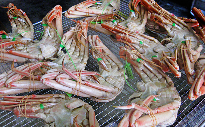 松葉蟹 ほぐし身（大） 活き蟹 900g級使用 甲羅盛り 〈11月中旬～2026年3月末発送〉 蟹 カニ かに 松葉蟹 松葉ガニ ズワイガニ 剥き身 殻なし