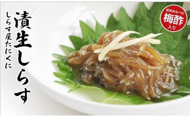 ふるさと漬生しらすセット（づけなましらす）5個｜しらす 魚 鮮魚 減塩 採れたて 国産 お米 ご飯 ごはん  丼 ※北海道・沖縄・離島へのお届け不可 ※年末年始のお届け不可