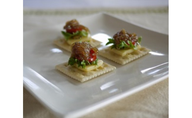 ふるさと漬生しらすセット（づけなましらす）5個｜しらす 魚 鮮魚 減塩 採れたて 国産 お米 ご飯 ごはん  丼 ※北海道・沖縄・離島へのお届け不可 ※年末年始のお届け不可