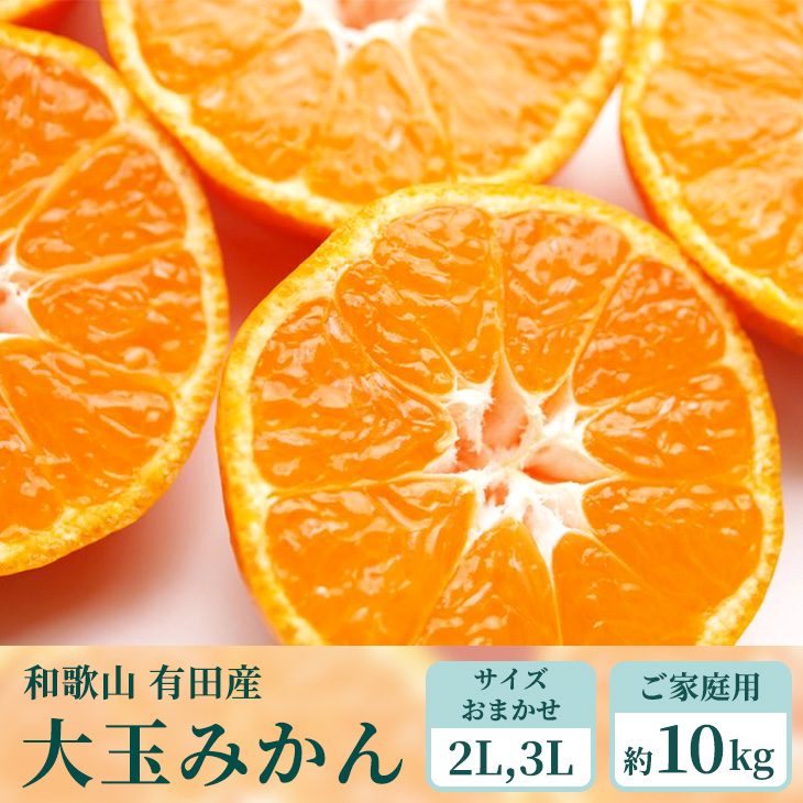 【ご家庭用】和歌山有田みかん約10kg(2