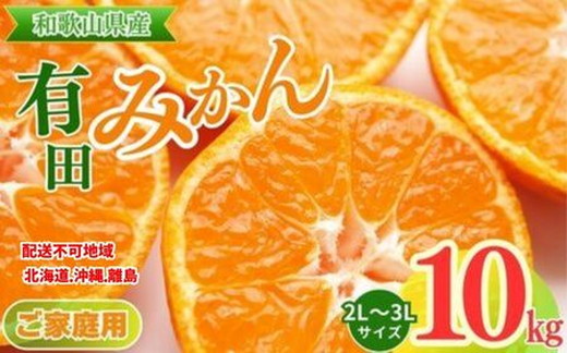 【和歌山県美浜町】【ご家庭用】和歌山有田みかん約10kg(2L、3Lサイズ)〇 ※北海道・沖縄・離島への配送不可 ※2025年11月上旬〜2026年1月下旬頃に順次発送予定